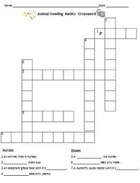 Carnivores Herbivores Omnivores Food Chain Animal Feeding Habits Herbivores Carnivores Herbivores Omnivores Carnivores