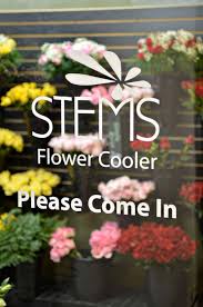 Cash and carry and bulk flower orders. Stems Market Fresh Cut Flowers For Everyday And Events