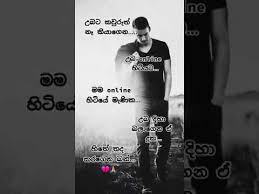 We did not find results for: Download Sinhala Tiktok Wadan Status Video 3gp Mp4 Codedfilm