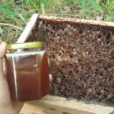 Fungsi d'herbs lipstick collagen + madu kelulut : Harga Madu Kelulut Terbaik Menu Sarapan Makanan Minuman Juli 2021 Shopee Indonesia