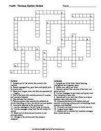 The nervous system is a complex collection of nerves and specialized cells known as neurons that transmit signals between different parts of the body. Nervous System Crossword Puzzle Peripheral Nervous System Nervous System Science Teaching Resources