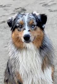 Stop by your nearest at home store for our latest collection of rustic farmhouse decor. Pd6x180gxcg7xm