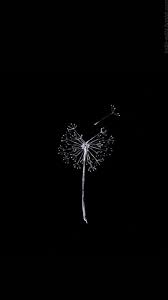 Pin By Fatmanur On Alintilar Dark Background Wallpaper Dark Wallpaper Black Wallpaper