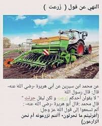 حرثت وليس زرعت