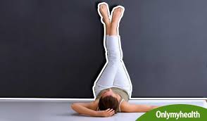 We did not find results for: Gerd Yoga Asanas Nusagates