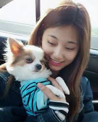 15 Idols Who Love Their Dogs More Than They Love Their Members