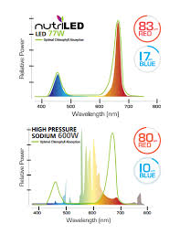 Led Horticultural Lights Vs Traditional Hps Grow Lights