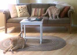 Pin On Pet Friendly Home