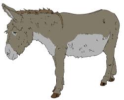 Animal Farm Study Guide