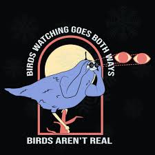The Birds Work For The Bourgeoisie Painting Birds Watching Goes Both Ways Birds Arent Real Svg Files For Silhouette Files For Cricut Svg Dxf Eps Png Instant Download Svg Png Funny Birds