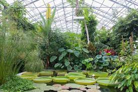 Einmalig ist der botanische garten, mit seinen rund 8000 beschrifteten pflanzen aus aller welt und mit führungen und ausstellungen zu. Wohin St Gallen
