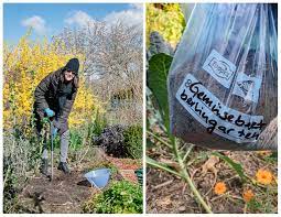 Dann wissen sie im voraus, welche pflanzen in ihrem garten gut gedeihen werden und welche es sich nicht lohnt zu pflanzen. Dein Gartenboden Von Der Bodenanalyse Zum Richtigen Dungen