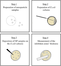 The assessment of antimicrobial activity was based on measurement of inhibition zones formed around the discs. Can Disc Diffusion Susceptibility Tests Assess The Antimicrobial Activity Of Engineered Nanoparticles Springerlink
