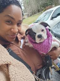 Puppies for rehoming in next few weeks