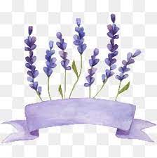 Lavanda Lavanda Flores Acuarela Png Y Vector Para Descargar Gratis Pngtree Black Phone Wallpaper Lavender Flowers Jasmine Flower