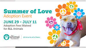 Nashville, tn (nsh) north central fl. Animal Foundation To Waive Fees For Summer Of Love Adoption Event Klas