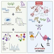 Image result for ROS1 Inhibitor