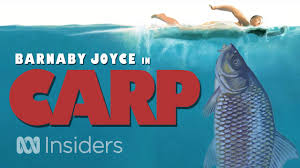 Find and save barnaby joyce memes | from instagram, facebook, tumblr, twitter & more. Carp With Barnaby Joyce Youtube