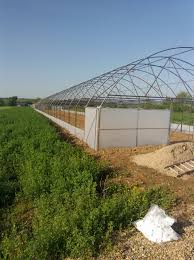 Maybe you would like to learn more about one of these? Sere Si Solarii Profesionale Facebook