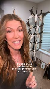 DROPPED: New Sheep Fever Podcast