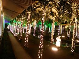 Call 9623001100 Rice Lights Work General Light Department Work Setup Decor By Utsav Event Alibag Radis Wedding Set Up Wedding Decorations Decor