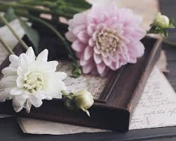 6 Simple Ways To Shoot Creative Still Life Photography With Your Iphone Still Life Photography Photography Tips Iphone Life Photography
