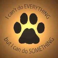 To Our Volunteers Rescue Dog Quotes Rescue Quotes Rescue Dogs