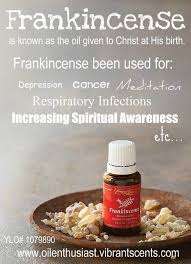 Frankincense Oil Enthusiasts Essential Oils Herbs Essential Oils Health Everyday Oils
