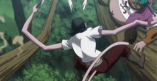 Hunter x hunter gon transformation gif 9 gif images download. Hunter X Hunter Gifs Primo Gif Latest Animated Gifs