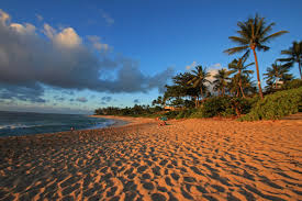 Mokuleia homes, turtle bay, waialua the following haleiwa properties are listed for sale. Ii Pineapples And North Shore Emilyberkson