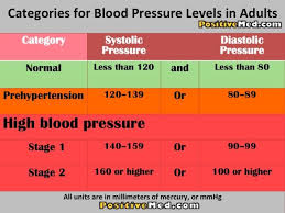 Pin On Kidney Education