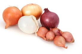 Image result for picture of onion