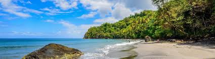 Maybe you would like to learn more about one of these? Karibisches Inselparadies Martinique Urlaubsguru
