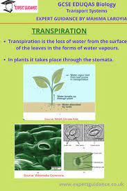 Pin On Gcse Biology Revision Notes