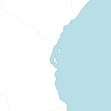 Image result for Megalochlamys revoluta