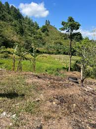 Disponible en dos pagos.