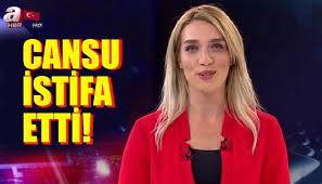 A haber sunucusu ile ilgili haberler. Cansu Canan Ozgen In Ahaber Den Istifa Etmesi