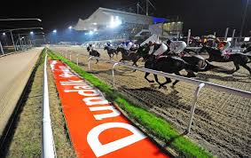 How Ireland S All Weather Track Has Proved Its Value Time And Again Topics All Weather Dundalk Thoroughbred Racing Commentary