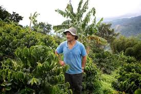 Das Ist Jhon Jairo Escobar Einer Unserer Kaffeebauern Zwischen Seinen Kaffeestrauchern Kaffee Bauer