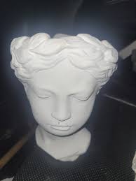 What is the name of this rescued plant?