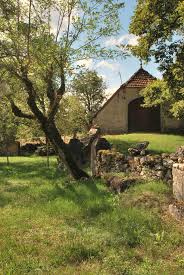 Grangette Du Quercy Avec Images Arbre