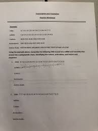 Make up your own example for a frameshift mutation. Solved Transcription And Translation Practice Worksheet E Chegg Com