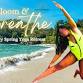 Bloom & Breathe Retreat event image
