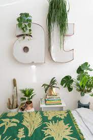 Plants with green leaves, like dracaenas and rubber plants plants with colored flowers, particularly yellow and. Sleeping With Plants