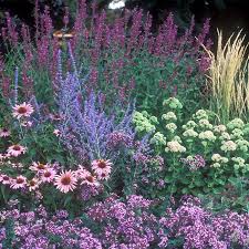 One great way to do that is by adding a beautiful garden with some unique, atte. August Afternoons Pre Planned Garden High Country Gardens