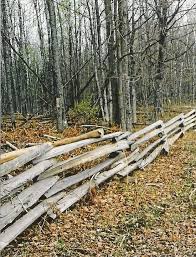 Dustin Ogden (dustinogden)