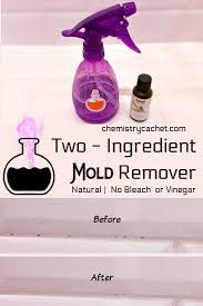 The Best Way To Remove Mold Mildew With 2 Ingredients No Bleach In 2020 Mold Remover Mold And Mildew Remover Mildew Remover