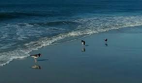 Posted on january 1, 2018 january 2, 2018 by miriam. Signs By The Sea Wallpaper Scenery Nature Pictures Skyscape
