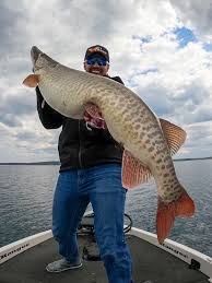 We did not find results for: Everything About It Was Pretty Unbelievable Massive Fish Caught In Michigan Bay Wcti