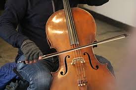 Royalty Free Violin Players Photos Free Download Pxfuel